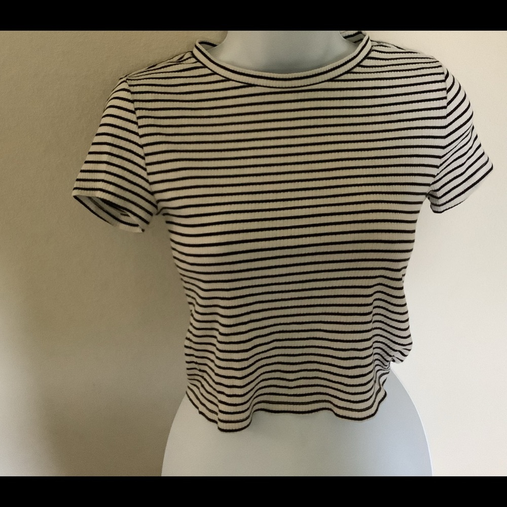Divided Crop Top